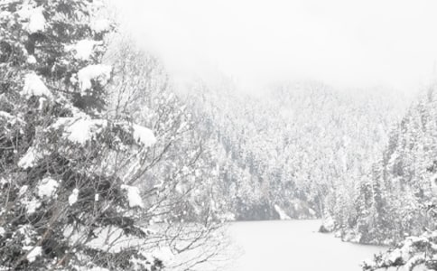 观看北京冬季残奥会心得体会