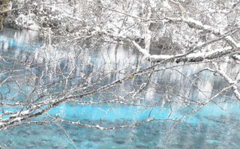 Ԥ��������Ⱦ��������̰�