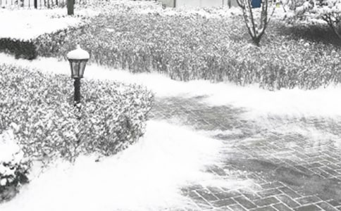 ������Ļ�ʣ���ѡ21ƪ��