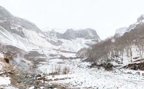 ������Ⱦ��Ԥ���̰�