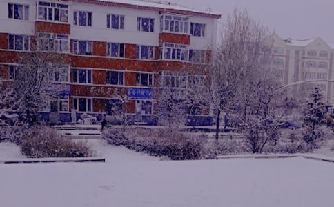 实用的冬日日记四篇