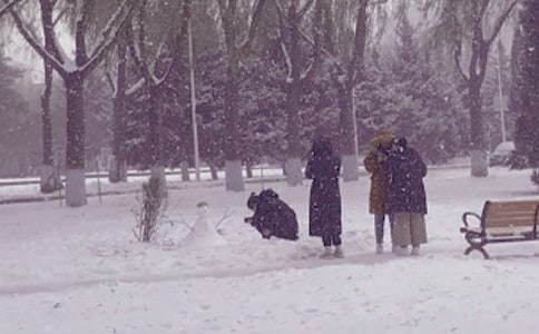 精选冬日写景作文汇总七篇