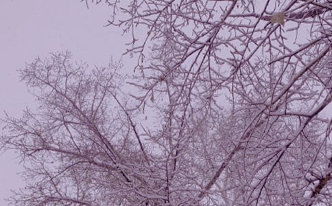 ���ȡ�����д������