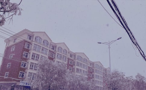 精选冬日日记三篇