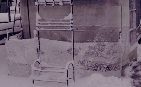 ��ѡ�����ռ���ƪ