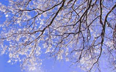 ����д��������(�Ƽ�)