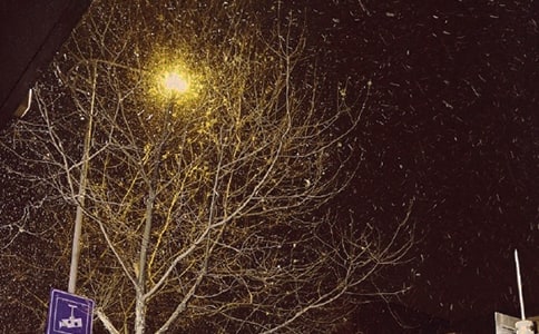 ���ж��������