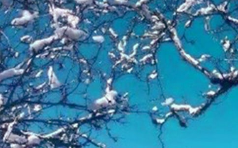 (����)���ϵĶ����ѧ��˼15ƪ