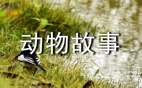 ����Ұ��������¼������