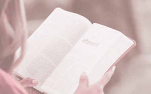 ������ѧ��������