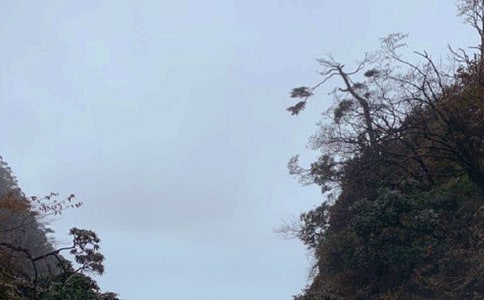 ��üɽ�¸�̰�