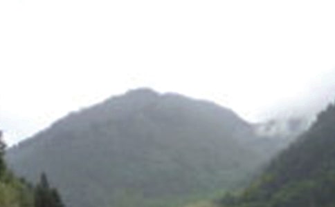 ��üɽ�¸�̰�(11ƪ)