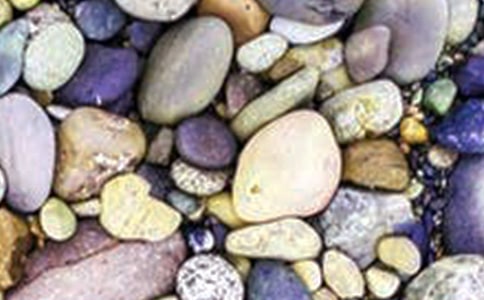 ����һ�Ŷ���ʯСѧ����