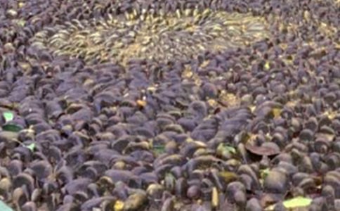 ���������Ȥ�Ķ���ʯ�̰�