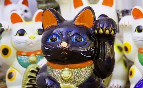 �������۲��ռ�