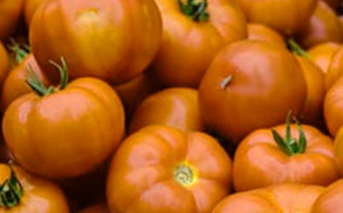 ���β�ͬ�ķ���̫������������̫������ѧ��˼