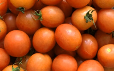 ��������̫������˵�θ�