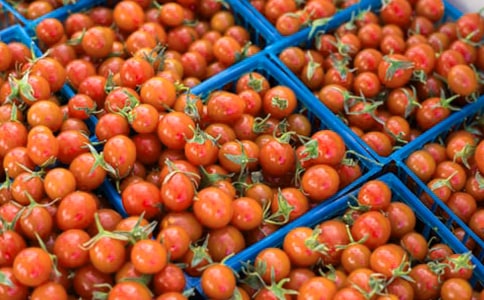 ������̫�������꼶��ѧ��˼