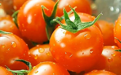 番茄太阳教学反思范文