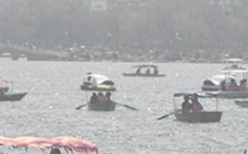 �ƺ����۽̰�