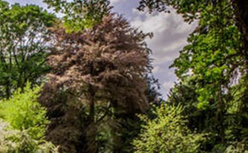 �羰��д�̰�