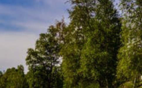 ��������̸������--���羰̸���Ķ�ý���ѧ���(��������) �̰���ѧ���