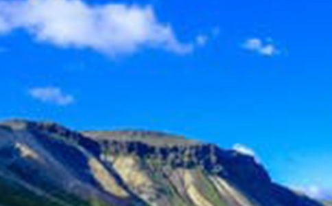 �羰���ռ�(15ƪ)