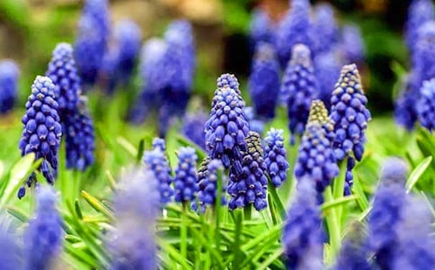 �����ӹ۲��ռǻ���15ƪ