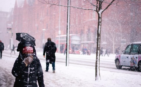 《林教头风雪山神庙》课后反思 教学反思(高一必修三)