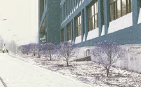 ���ֽ�ͷ��ѩɽ������˵�θ�(�˽̰�߶�����˵��)