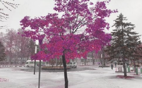 《林教头风雪山神庙》第三课时教学设计(人教版高二必修教案设计)