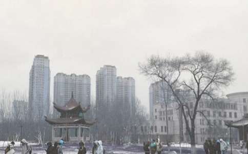 �ֽ�ͷ��ѩɽ���� �̰���ѧ���