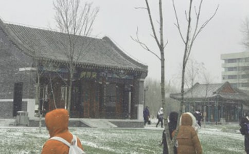 读《暴风雪的夏天》有感