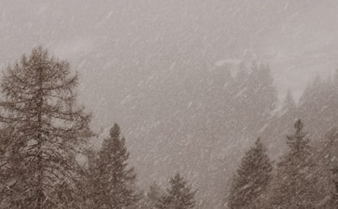 《林教头风雪山神庙》教学实录 (人教版高二必修四)