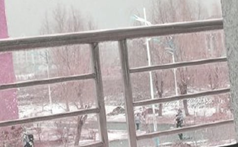 林教头风雪山神庙(人教版高二必修) 教案教学设计