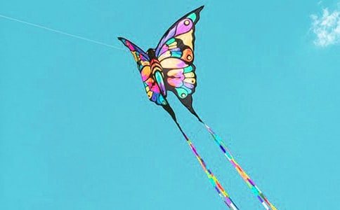 Сѧ���꼶�ŷ��ݵ�����