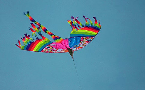 ��ֽ���ͷ��ݡ��Ľ̰����ͨ��