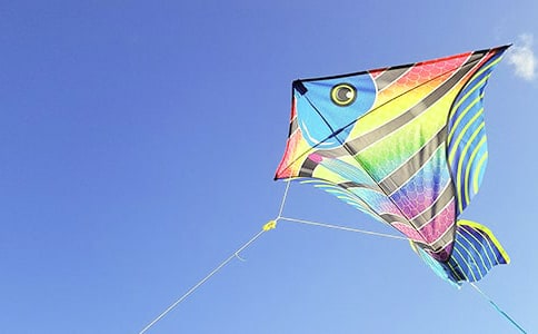 �����ݡ�˵�θ�(���İ����꼶����˵��)