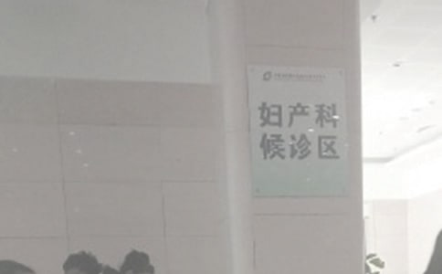 �����ƹ����ƻ����6ƪ