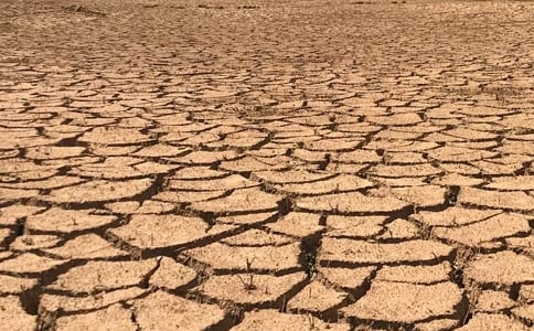 �ɺ����ڸ�������ɭ�ַ���������