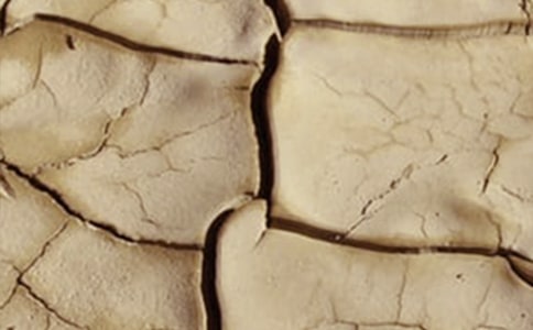 ���ɺ�Ϊ������Ȼ������˵�θ�