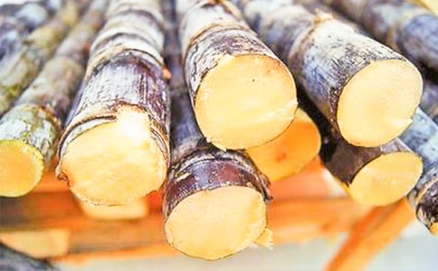 大班科学《原来甘蔗这样种》