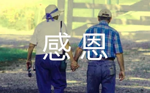 �߶��ж�����