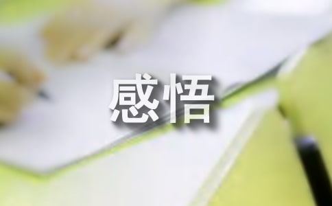 一位校长对办学理念的感悟