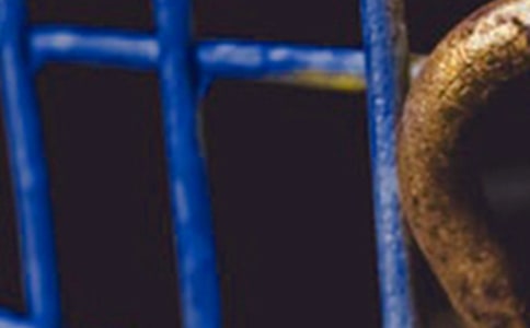 ������ʵϰ�ĵ���᷶��