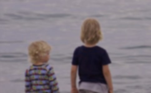 写哥哥的经典日记