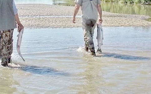 ����С�ź����ĸ��Ƕ��������