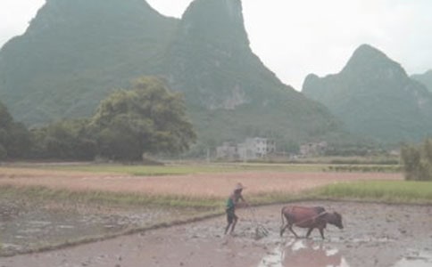 ũ������Ѻ����ͬ��