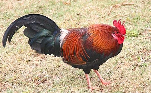 �������Ĺ������̰���ͨ��21ƪ��