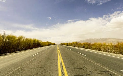 公路工程设计合同